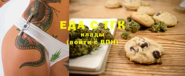индика Алексин