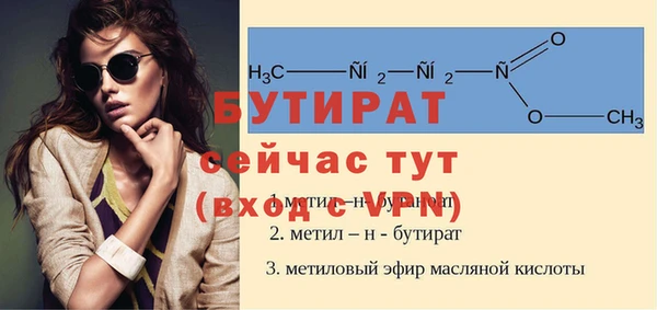 индика Алексин