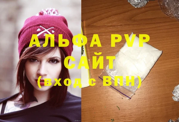 индика Алексин