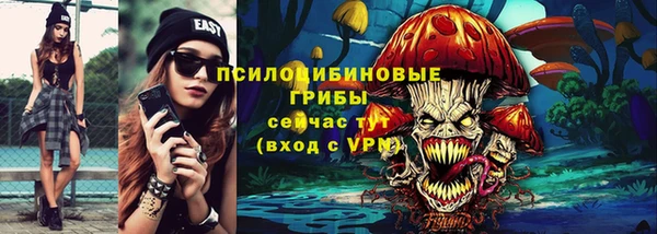 индика Алексин
