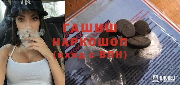 индика Алексин