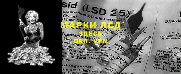 индика Алексин