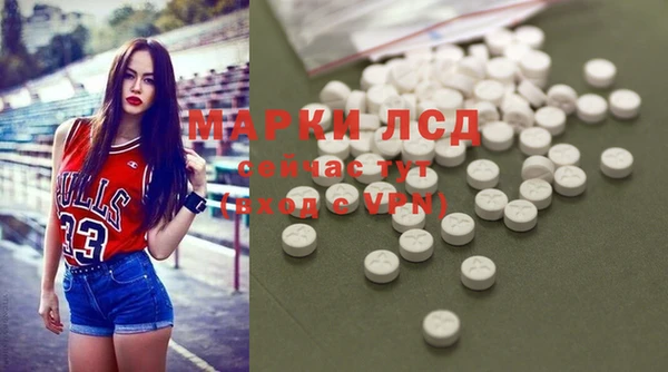 гидра Алзамай