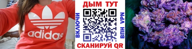 Конопля семена  продажа наркотиков  Куровское 